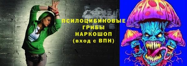 сатива Липки