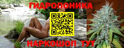 крисы Волгодонск