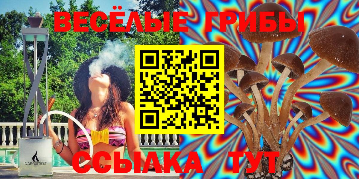 Псилоцибиновые грибы MAGIC MUSHROOMS Кушва