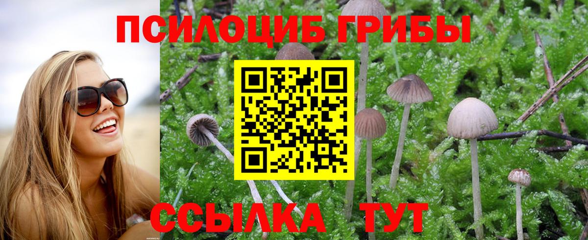 Кушва  Галлюциногенные грибы Psilocybine cubensis  Вход с VPN 