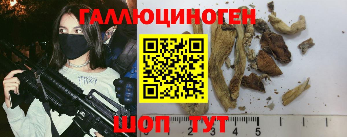 Галлюциногенные грибы Psilocybine cubensis  что такое наркотик  Кушва 