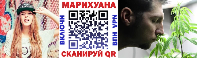 Каннабис индика Кушва